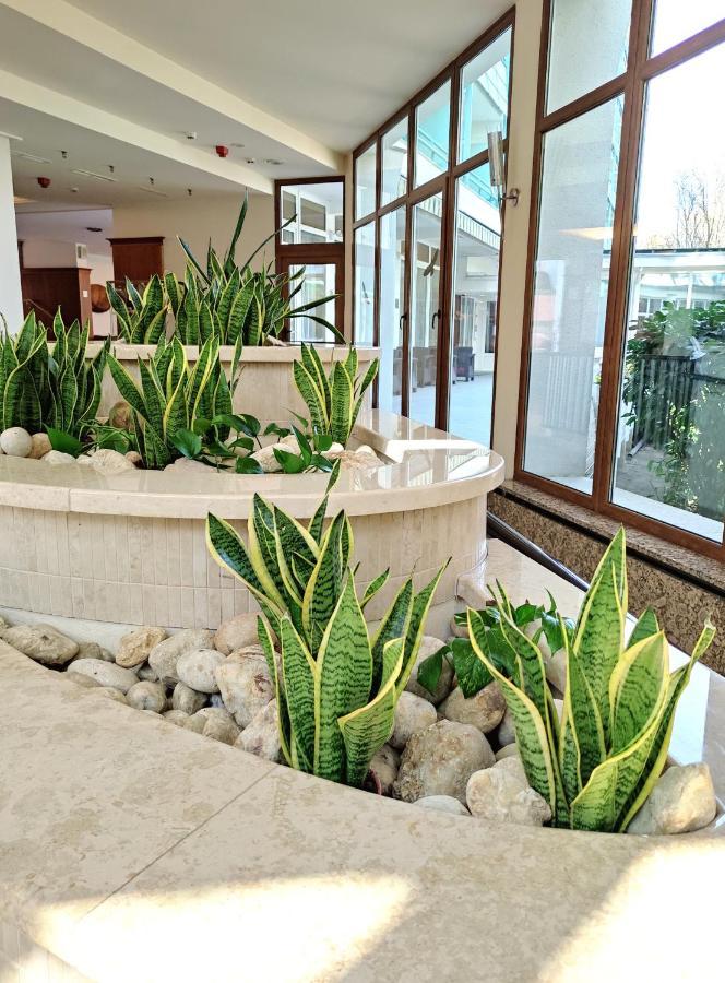 Spa Residence Carbona Apartment 105 ヘーヴィーズ エクステリア 写真